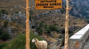 Ущелье Самарья, Остров Крит, Греция