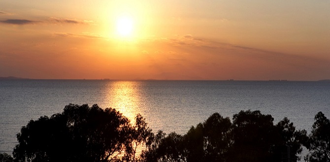 Отель Amarilia, Побережье Афин